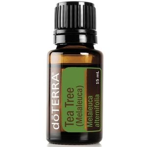 Doterra melaleuca oil Tea tree oil